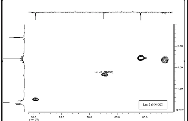 FIGURA 50 Expansão do espectro de correlação  1 H- 13 C-HMQC de Lm-2 na região entre                          δ  3,0-5,0 x 55-80 (500 MHz, CD 3 OD, δ em ppm).