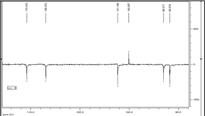 FIGURA 13 Expansão do espectro de RMN  13 C-APT de Lm-1 na região  entre δ C  95-110                          (125 MHz, CD 3 OD, δ em ppm)