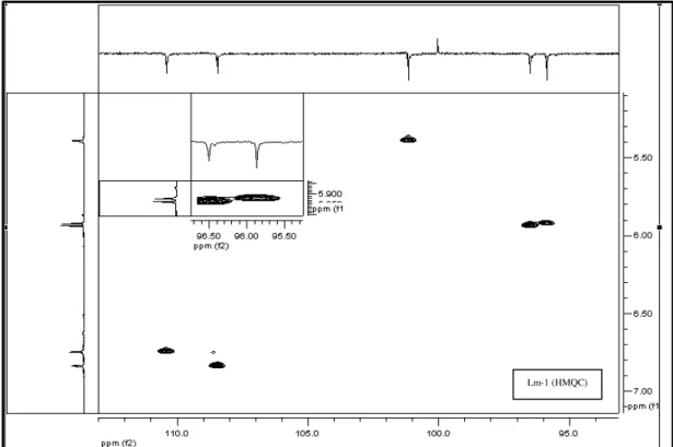 FIGURA 24 Expansão do espectro de correlação  1 H- 13 C-HMQC de Lm-1 na região entre                          δ 5,0 -7,0 x 94-113 (500 MHz, CD 3 OD, δ em ppm).