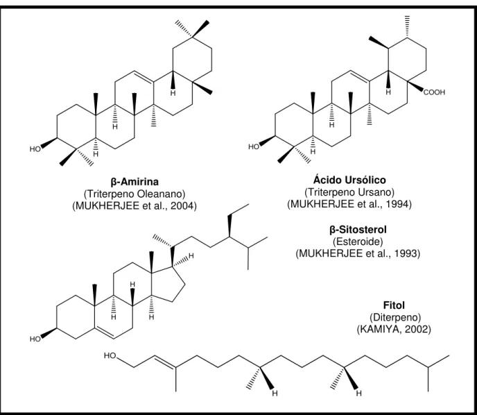 Figura 5. Exemplos de substâncias isoladas de espécies pertencentes ao gênero Borreria
