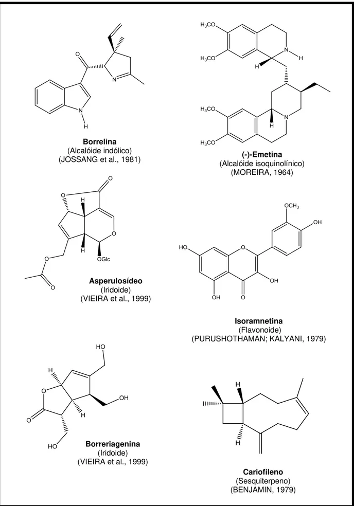 Figura 5 (cont.). Exemplos de substâncias isoladas de espécies pertencentes ao gênero Borreria