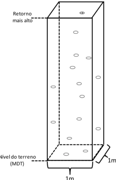 Figura 2.3. Representação gráfica da geração do Modelo de Atura do Dossel. 
