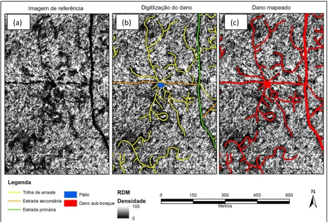 Figura 2.5. Imagens LiDAR utilizadas para o mapeamento dos impactos no sub-bosque  florestal utilizando LiDAR