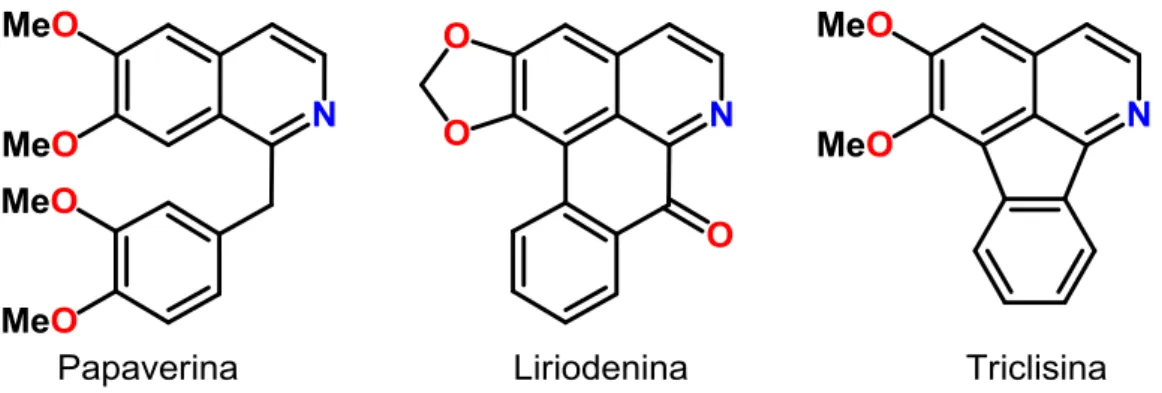 Figura 4 - Papaverina, liriodenina e triclisina