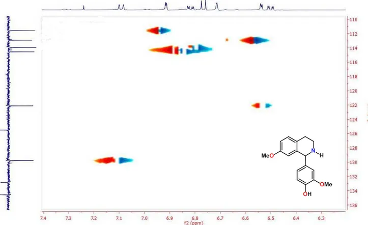Figura 12  –  Expansão 1 - Espectro de RMN de  1 H x  13 C  –  HMQC (500 MHz, CDCl 3 ) de 1-(3- 1-(3-metoxi-4-hidroxifenil)-7-metoxi-1,2,3,4,-tetrahidroisoquinolina 
