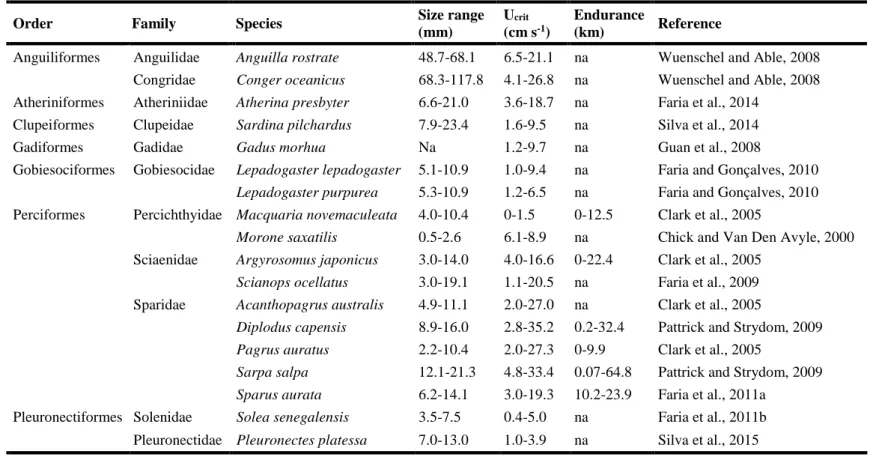 Table 1.1.  Summary of reports on swimming performance (critical swimming speed – U Crit , and swimming endurance) of temperate fish species,  including size range