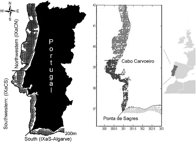 Figure  2.1  Portuguese  coast  with  different  studied  areas  (northwestern  and  southwestern,  representing the western coast; and southern coast) and information on satellite (left panel) and  ICOADS  (right  panel)  points  used  to  extract  averag