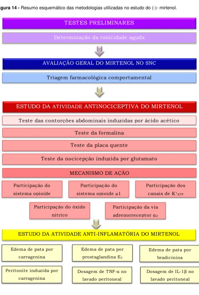 Figura 14 - Resumo esquemático das metodologias utilizadas no estudo do (-)- mirtenol