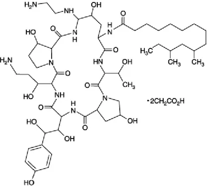 Figura 6- Estrutura química da caspofungina. 