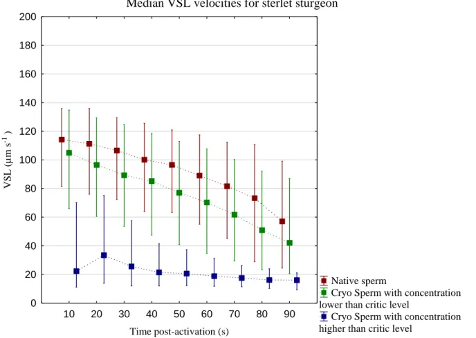Figure II.2 – Median VSL for native spermatozoa (Native sperm), post-thaw spermatozoa with concentration lower  than  the  critic  level  of  sperm  (Cryo  Sperm  with  concentration  lower  than  critic  level)  and  Cryo  Sperm  with  concentration highe