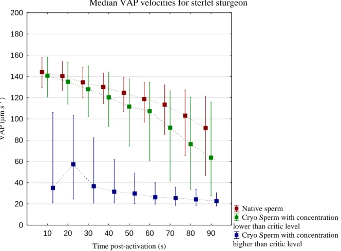 Figure II.3 – Median VAP for native spermatozoa (Native sperm), post-thaw spermatozoa with concentration lower  than  the  critic  level  of  sperm  (Cryo  Sperm  with  concentration  lower  than  critic  level)  and  Cryo  Sperm  with  concentration highe