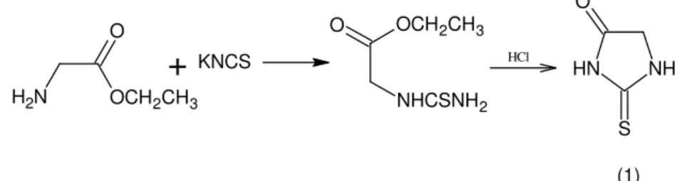 Figura 1: Estruturas representativas para as Hidantoína e Tio-hidantoína. 