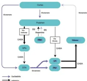 Figura  1  –  Representação  do  circuito  dos  núcleos  da  base  na  Doença  de  Parkinson