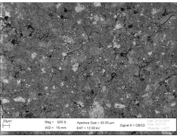 Figura 5.11: Micrografia por elétrons retro espalhados da mistura M44PZ com 3 (três) dias  de idade