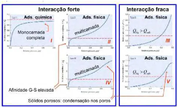 Figura 2.4. Tipos de isotermas, extraído de FARINHA (2008). 