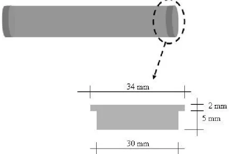 FIGURA 4.3. Esquema representativo da geometria do tubo metálico, com detalhe para  as dimensões das tampas