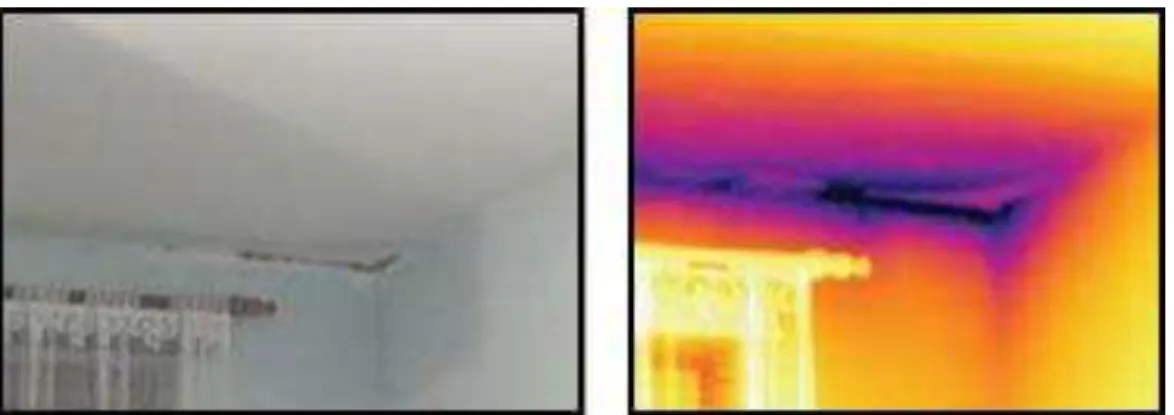 Figura 2: Imagem de termografia de infiltração por água(tons azuis) em laje. Fonte: 
