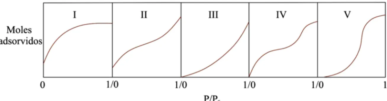 Figura 3.2 - Isoterma de adsorção classificada por Brunauer et al. (1938). 