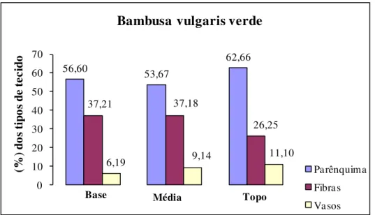 Figura 5.9- Percentual dos tecidos na base, média e topo do Bambusa vulgaris verde.  