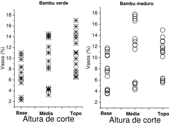 Figura 5.10  –  Porcentagem dos vasos nos bambus verdes e maduros de acordo  com a altura de corte