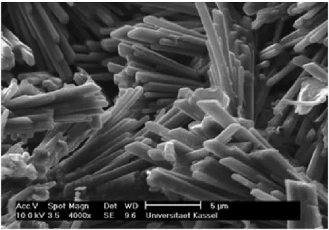 Figura 2.5 – Microscopia eletrônica de varredura dos cristais do hemidrato β, aumento         4 000 x (SINGH e MIDDENDORF, 2007) 
