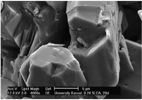Figura 2.6 – Microscopia eletrônica de varredura dos cristais do hemidrato β na presença  de ácido cítrico, aumento 4 000 x (SINGH e MIDDENDORF, 2007) 