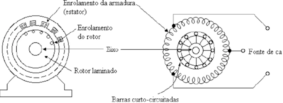 Figura 3.12 – Enrolamentos do estator e do rotor de um motor de indução.