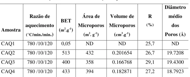 Tabela 10: Caracterização dos carvões com relação ao precursor/ativante 