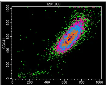 Fig.  7:  Example  of  the  flow  cytometry  analysis  of  a  two-layer  gradient  Percoll  purification of neutrophils
