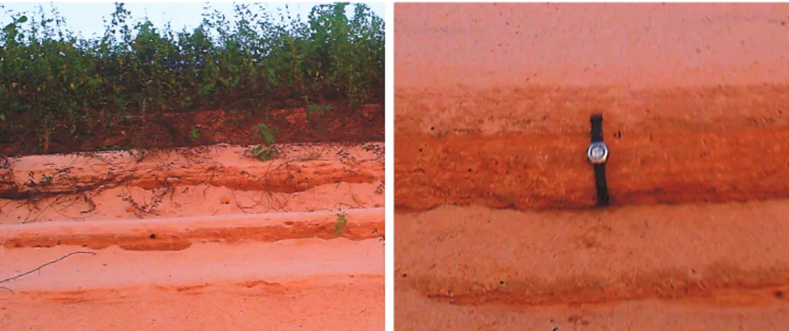 Figure 3 - Photograph of the stratification in a partly eroded sand bar on a river isle margin (left), and detail of poorly  sorted sediment layer (right).