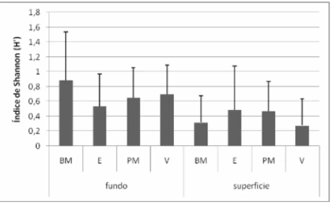 Figura 9. Índice de diversidade de Shannon (H’) na superfície, fundo e em cada fase de maré (BM –  Baixa-mar; E – Enchente; PM – Preia-mar; V – Vazante)
