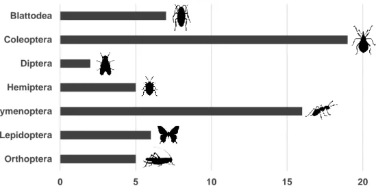 Figure 2 Number of occurrence of prey items among all samples classified to the order level and  amplified with 16S primers