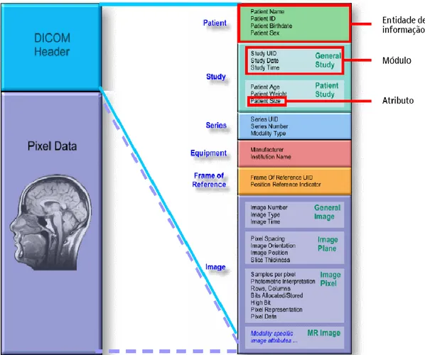 Ilustração 6- Informação do Cabeçalho de Objeto de informação DICOM | Fonte: (SIMENS  2008) 