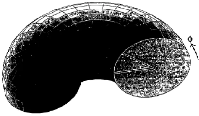 Figura 3.5: Parametriza¸c˜ao do toro pelos ˆangulos φ e η Nesta parametriza¸c˜ao a m´etrica do toro ´e ent˜ao: