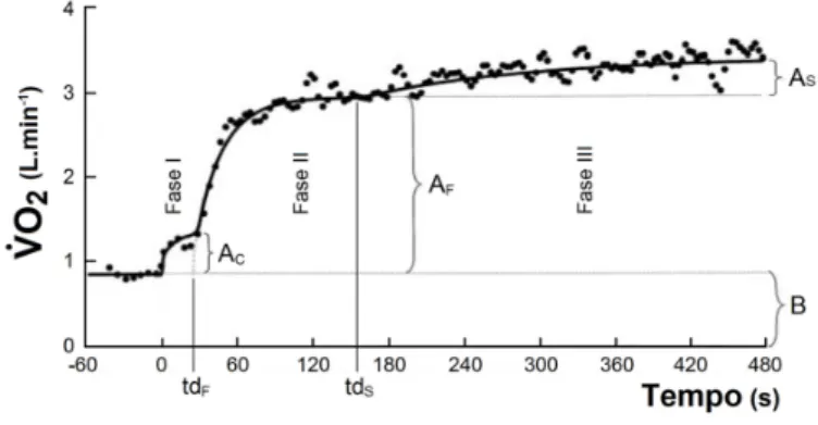 Gráfico 1 - Apresentação das fases caracterização da resposta do $ ̇ O 2  – adaptado de Bearden and Moffatt (2000)