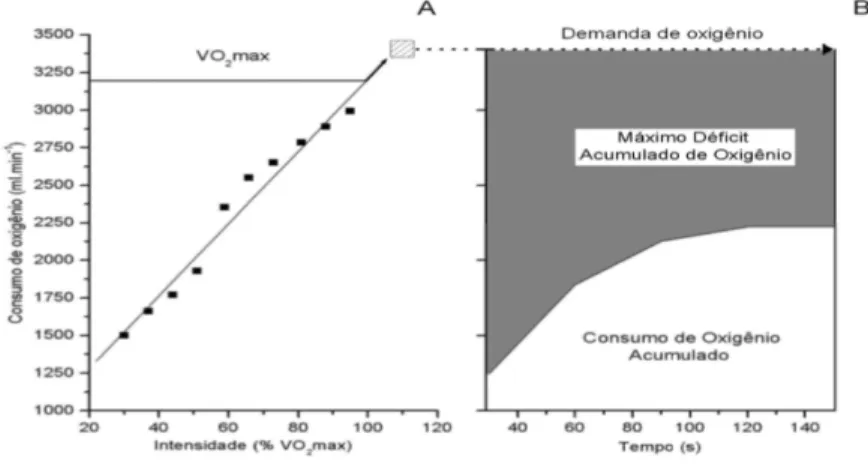 Figura 5 - Exemplo gráfico dos princípios metodológicos empregados na determinação do MAOD (adaptado de Medbø  et al.,  1988)