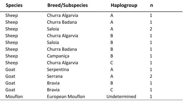 Table  1. Sample  list  including    domestic  sheep and goat  (autochthonous  breeds)  with respective  assigned breed (common name)  and European mouflon, from several regions across Portugal, and from different haplogroups