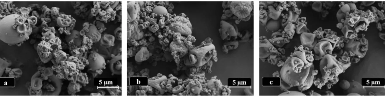 Figure 2. Microphotographs of LBG-based microparticles viewed by scanning electron microscopy