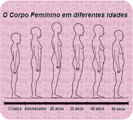 Figura 3 – Silhueta do Corpo Feminino ao Longo da Vida (traduzido de  WACOAL, 2000) 
