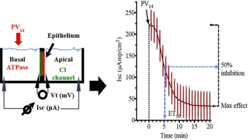 Fig. 2. 51 V NMR spectrum of 1 mM aqueous PV 14 solution at autogenous pH (5.5). Legend: a′, a″, a‴ H x PV 14 O 42 (9-x)- ; b H 3 VPO 7 − .