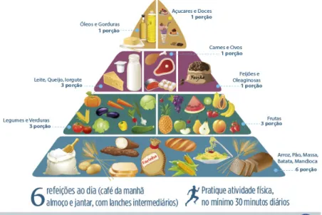Figura 4 – Estrutura da Pirâmide Alimentar Ideal