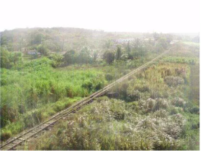 Figura 04: Estrada de ferro que corta o município de Pilar-PB/Agosto de 2011. Essa linha foi inaugurada  em 28.12.1883 pela companhia inglesa Great Western que tinha a posse e a concessão Estrada de Ferro 