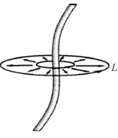 Figura 2.4: Uma corda c´osmica em trˆes dimens˜ oes pode ser localizada quando percorre-se um caminho fechado L em volta da mesma [1].