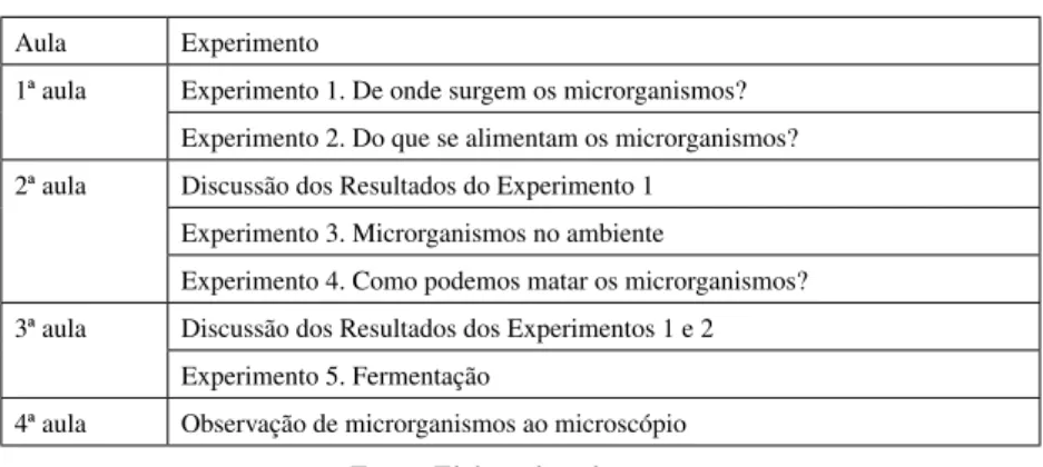 Tabela 1 – Cronograma da Oficina Micromundo
