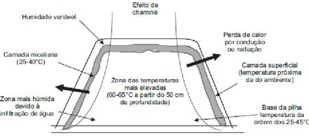 Fig. 3-3 Corte transversal de uma pilha sem arejamento forçado com as variações da  temperatura (Adaptado de Gonçalves 2005)