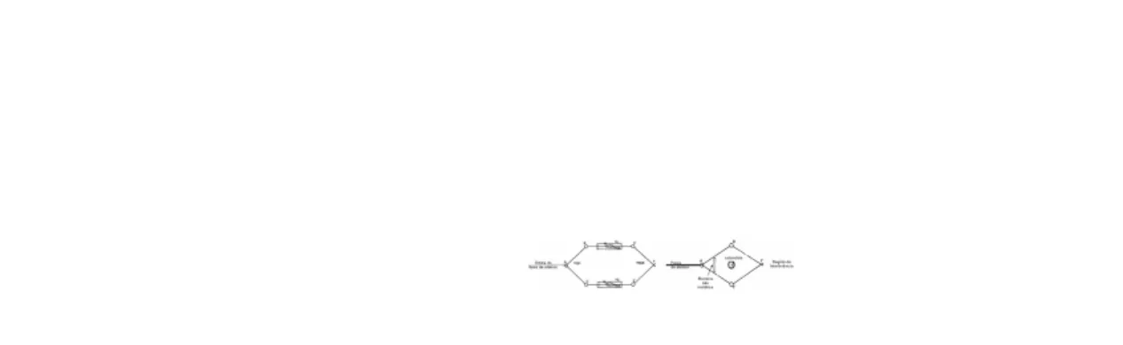 Figura 2.1 Experimentos propostos por Aharonov e Bohm (figuras tiradas do artigo [1]) pela expressão: Φ = � � B · d�s = � C � A · d �l (2.1)