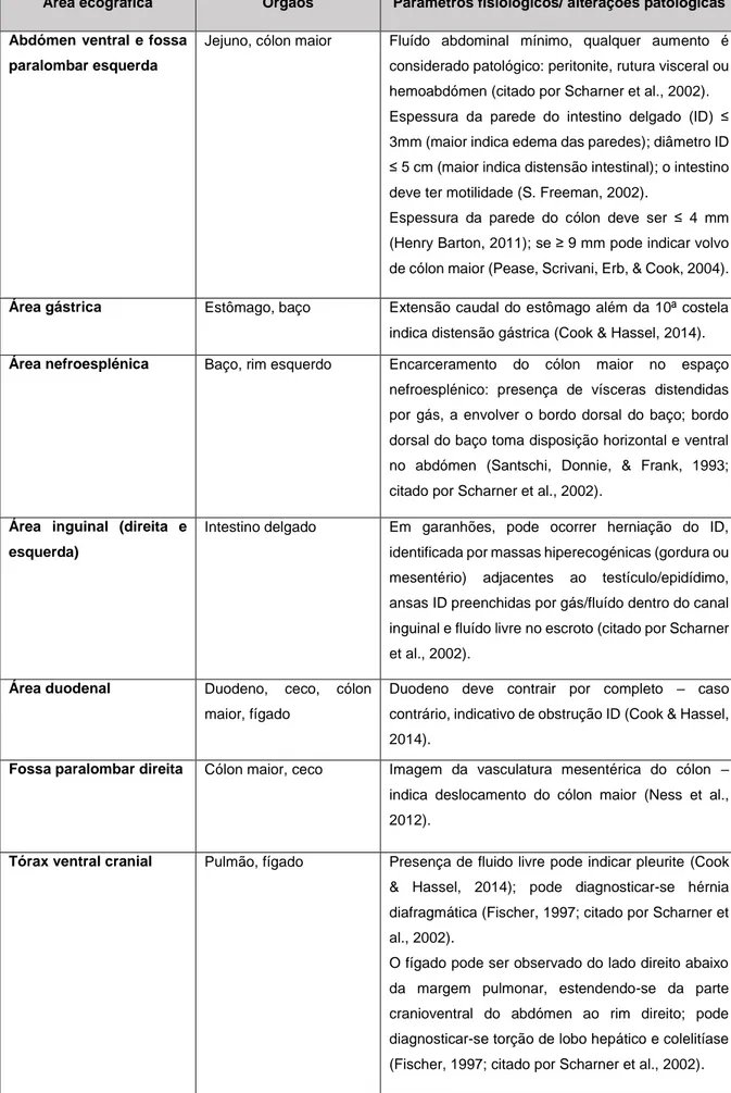 Tabela 3 - Ultrassonografia abdominal organizada por áreas ecográficas (adaptado de Cook &amp; 