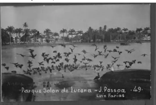 Figura 02 - Parque Sólon de Lucena no final da década de 1940 