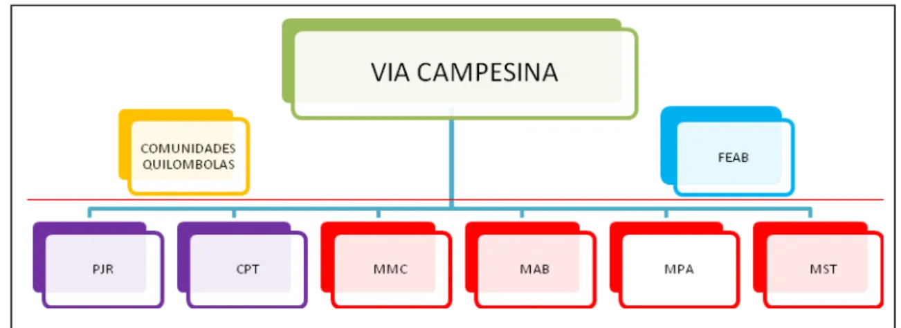 Figura 01. Organograma da Via Campesina na Paraíba, 2012 