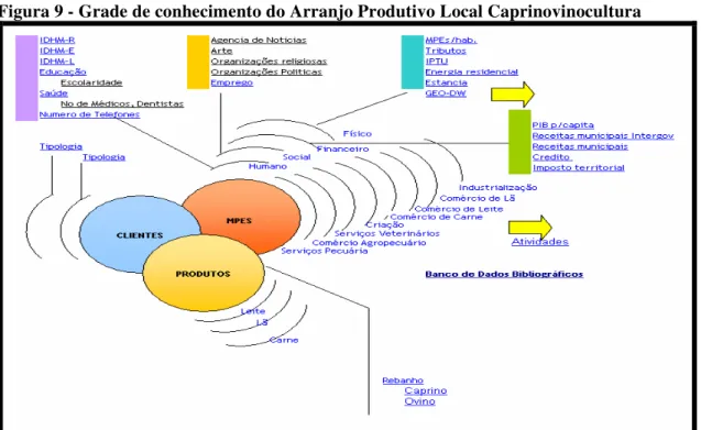 Figura 9 - Grade de conhecimento do Arranjo Produtivo Local Caprinovinocultura